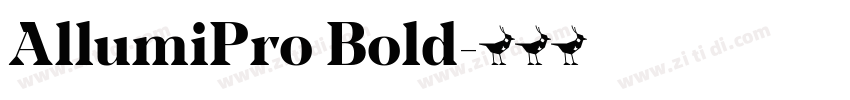AllumiPro Bold字体转换